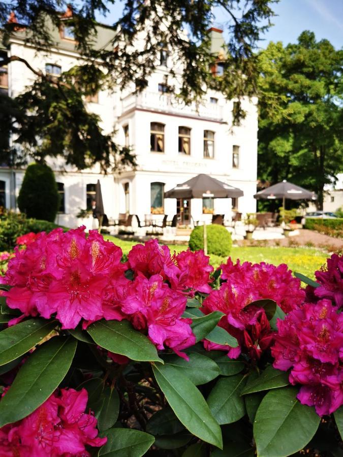 Готель Fryderyk